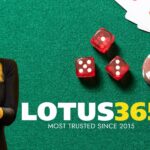 Lotus365 id