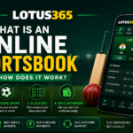 What Is an Online Sportsbook and How Does It Work