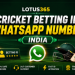 Cricket Betting ID WhatsApp Number India