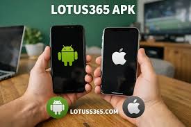 Lotus365 download APK