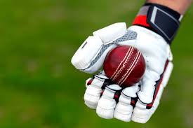 lotus betting site india